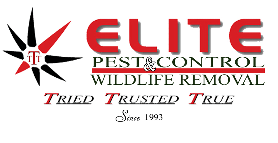ELITE Pest Control & Wildlife Removal, Inc. logo