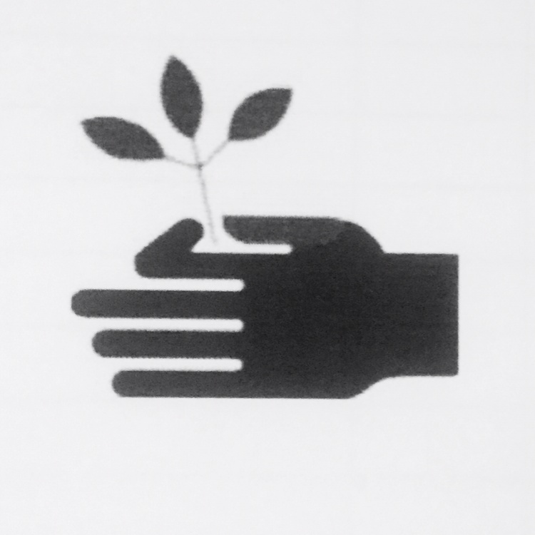 Logo for Darrells landscape lawn care inc