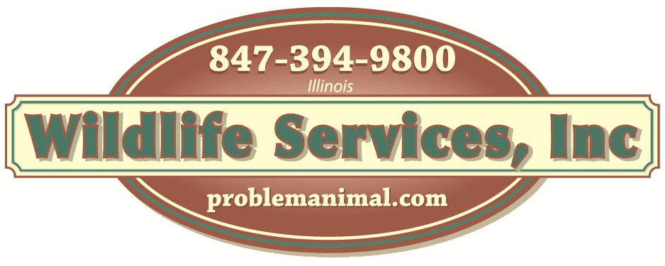 Logo for Illinois Wildlife Services Inc
