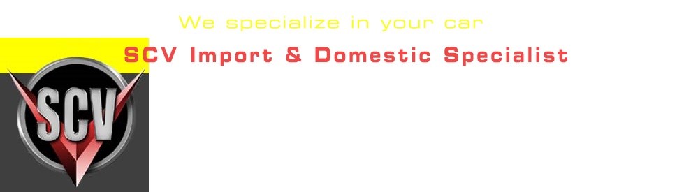 Logo for SCV Import & Domestic Specialist