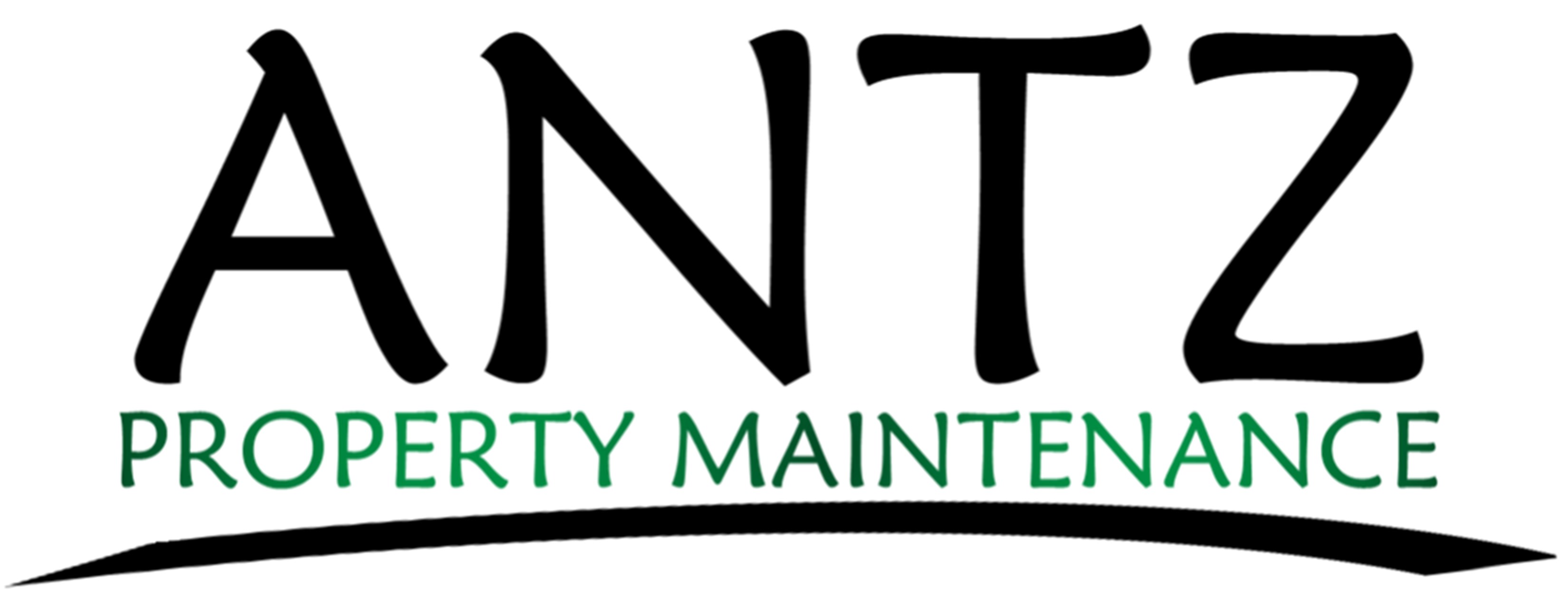 Logo for ANTZ Inc