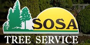 Avatar for Sosa Tree Svc