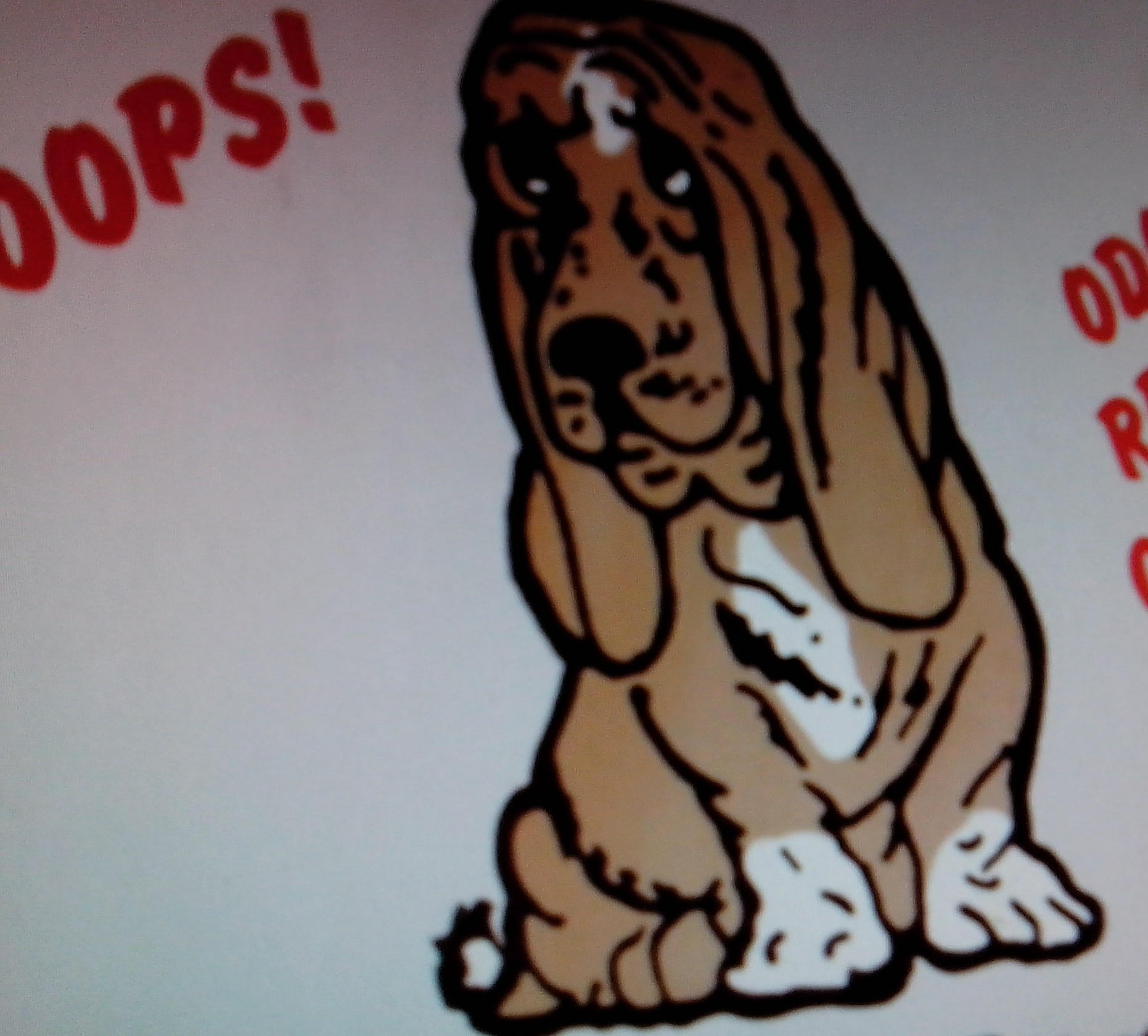 Logo for R & L Carpet Upholstery Cleaning