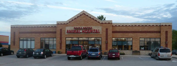 Logo for GENTLE DOCTOR ANIMAL HOSPITAL