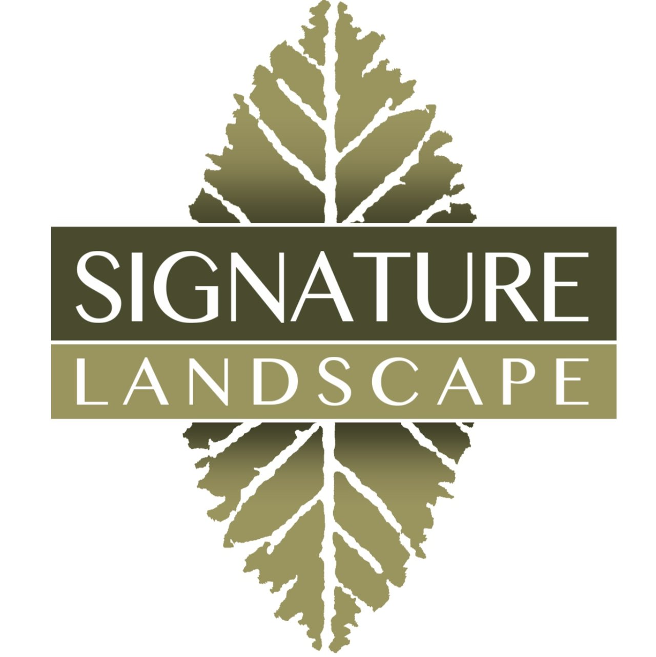 Avatar for Signature Landscape inc