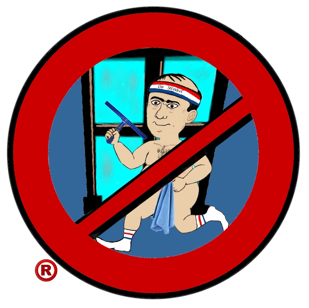 Logo for No Streaking Professional Window Washing