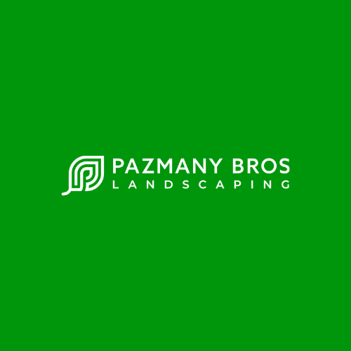 Logo for PAZMANY BROTHERS