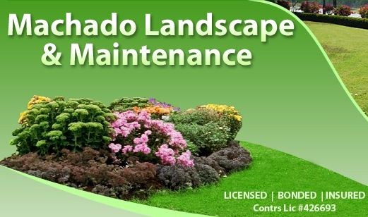 Logo for Machado Landscape & Maintenance