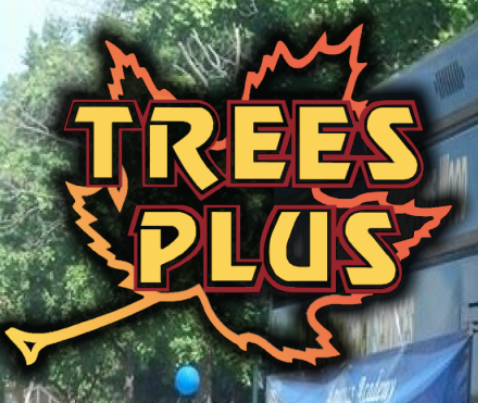 Avatar for TREES PLUS