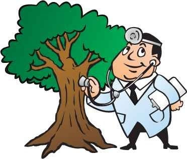 Logo for Tree Green Your Tree M.D.