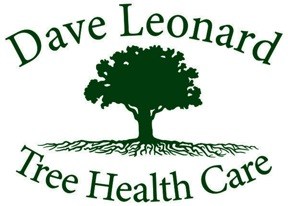 Dave Leonard Tree Specialists logo