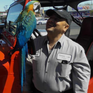 Avatar for Family Auto Care