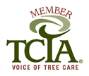 Avatar for 4 Seasons Arbor Service, Inc