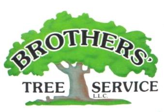 Logo for Brothers' Tree Service LLC
