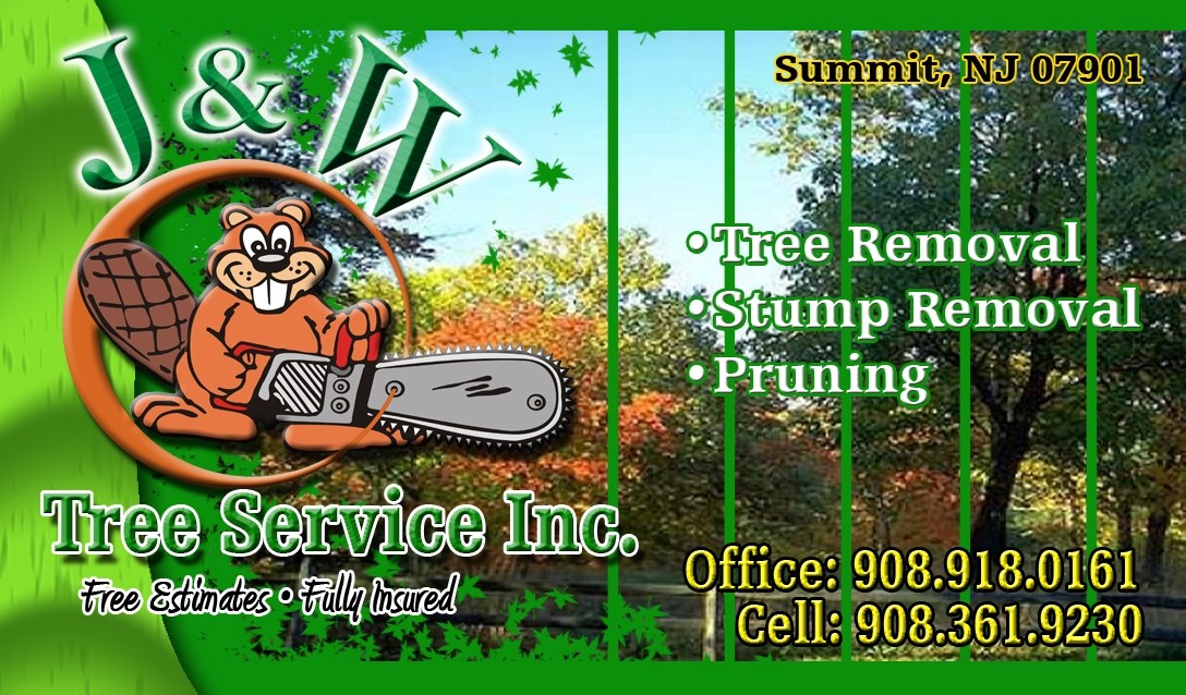 Avatar for J & W Tree Service Inc