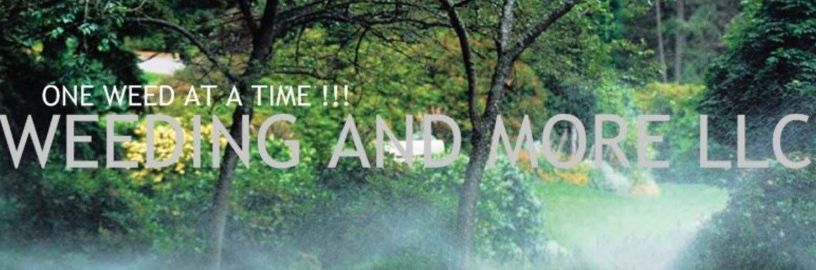Avatar for We Pull Weeds