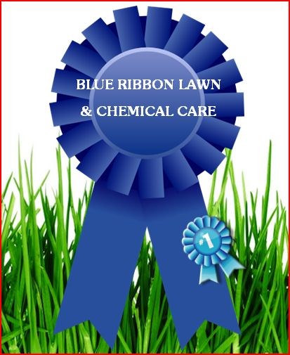 Logo for BLUE RIBBON CHEMICAL LAWN CARE