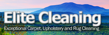 Logo for ELITE CLEANING