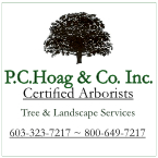 P C Hoag & Co.,Inc. logo