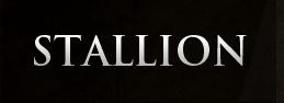 Logo for Stallion Painting