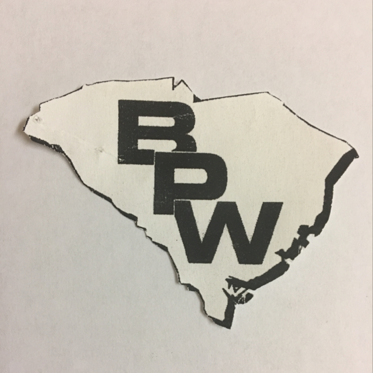 Logo for Budget Pressure Washing