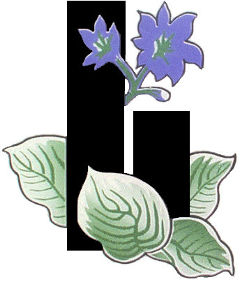 Logo for Hillside Garden Landscaping Inc