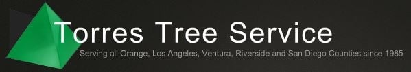 Avatar for Torres Tree Service Inc