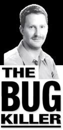 The Bug Killer logo