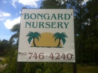 Logo for Bongard Landscaping & Nursery