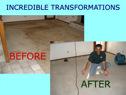 Las Cruces Carpet Cleaning logo
