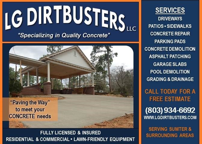 Logo for LG Dirtbusters LLC