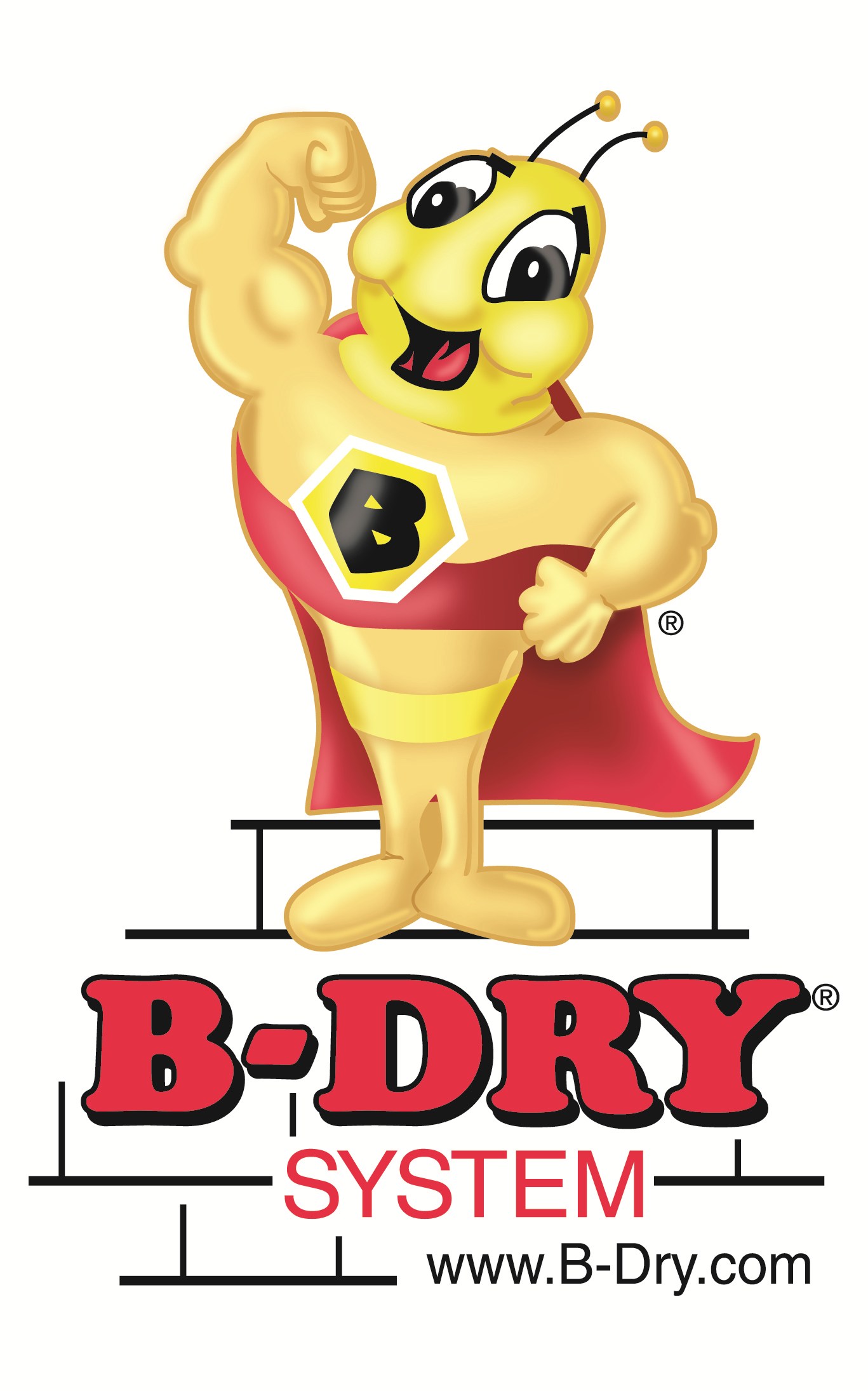 B-Dry System of Central & West Michigan Inc logo