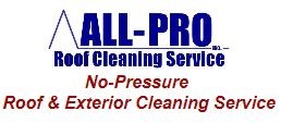 Logo for All Pro