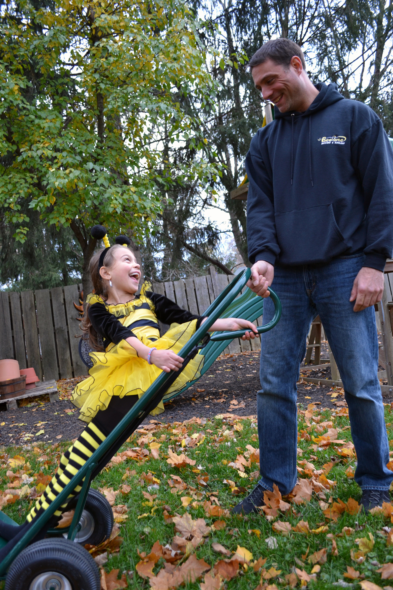 Bee Line Moving & Hauling, LLC logo