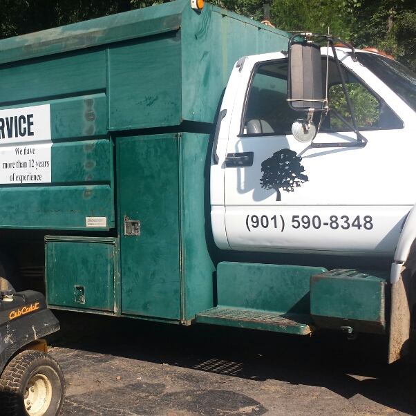 Avatar for Jose Perez Tree Service