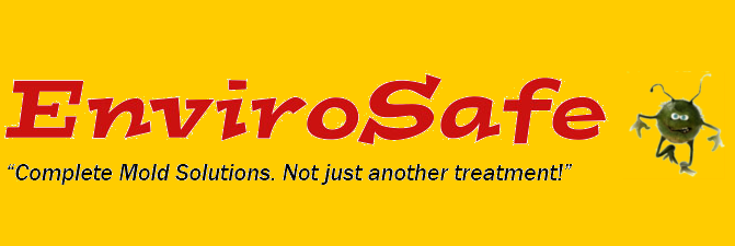 Envirosafe logo