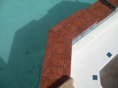Jerry's Tile Shine logo