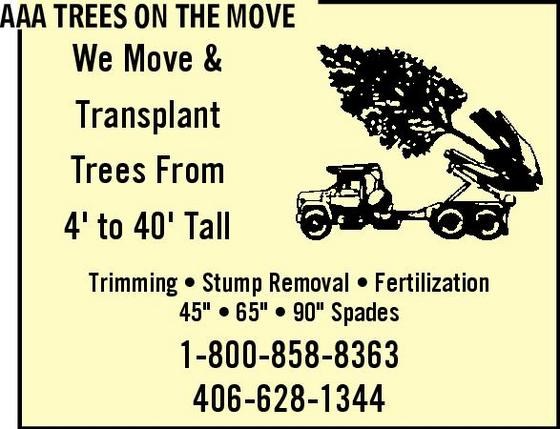 Avatar for AAA Trees on the Move