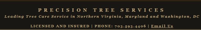 Logo for Precision Tree