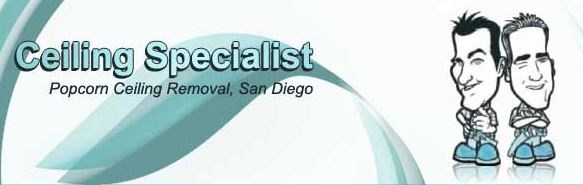 Avatar for Ceiling Specialist