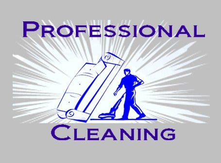 Logo for Professional Cleaning