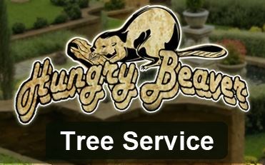 Logo for Hungry Beaver Tree Svc