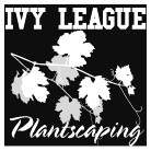 Logo for Ivy League Plantscaping