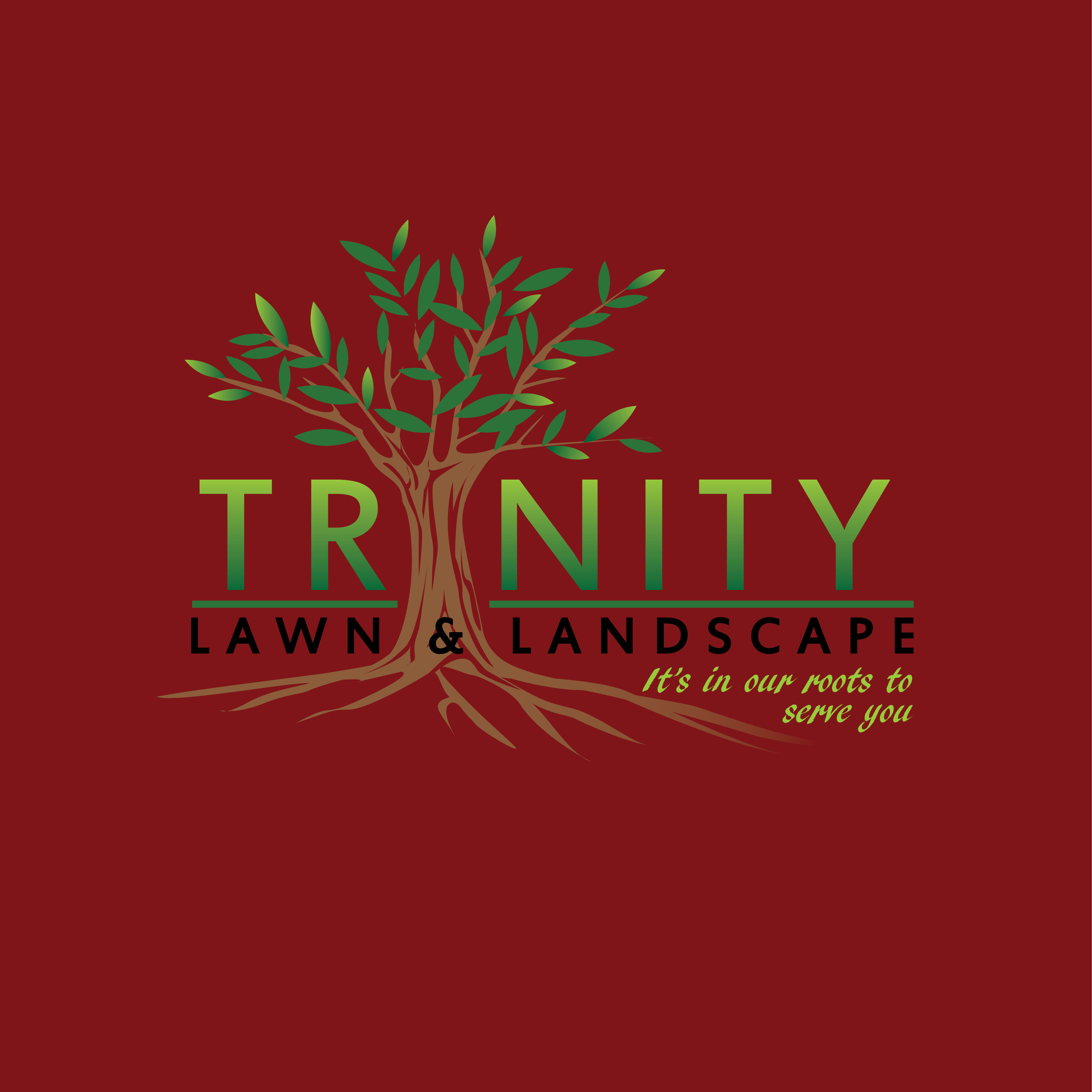 Trinity Lawn & Landscape Inc logo
