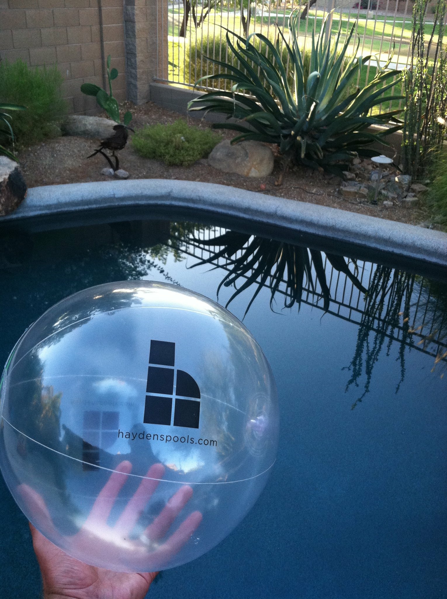 Logo for Hayden's Pool Service