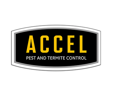 Logo for Accel Pest & Termite Control