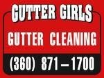 Logo for Gutter Girls LLC