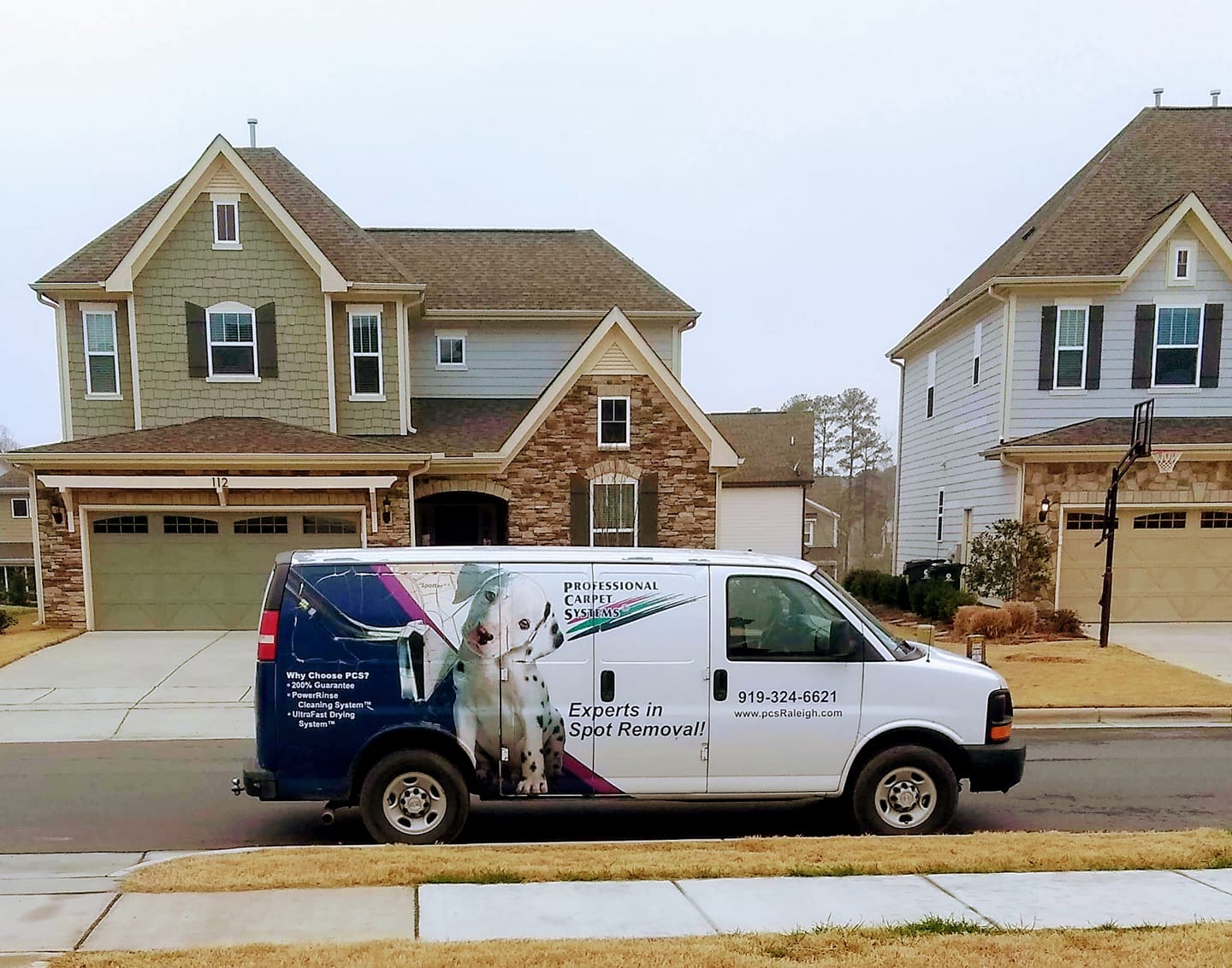 Logo for Professional Carpet Systems