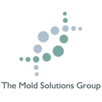 Logo for The Mold Solutions Group