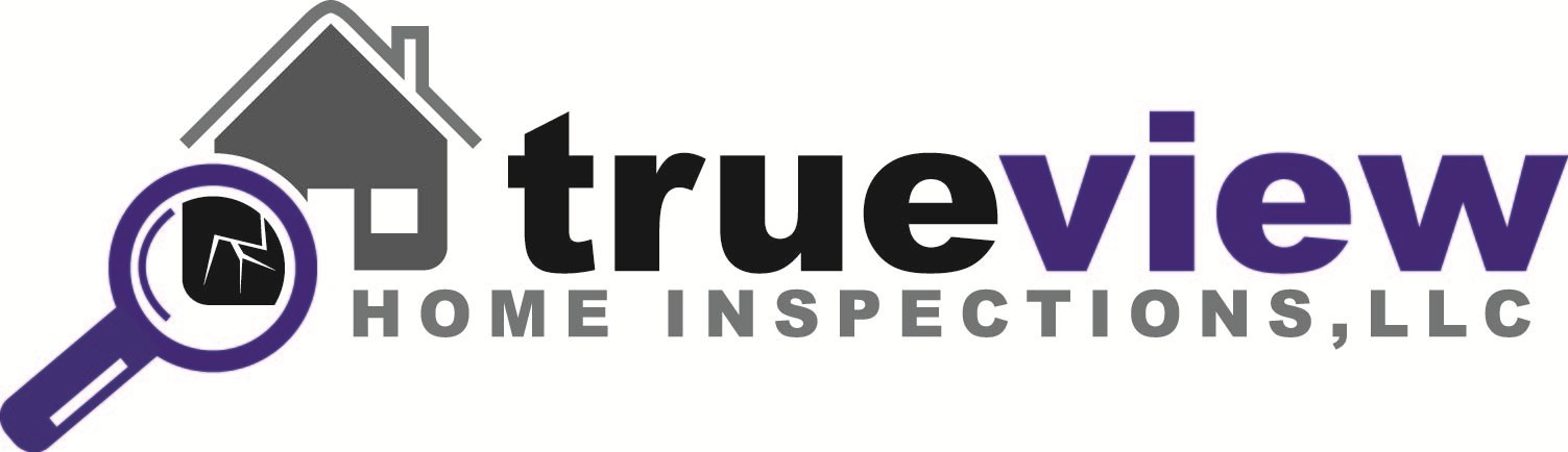 Logo for True View Home Inspections
